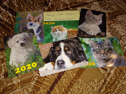 Отдается в дар «Календарики 2020 собаки/кошки»