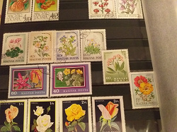Отдается в дар «Цветы и флора на марких Венгрии и Румынии.»
