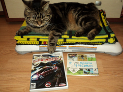 Отдается в дар «игра для WII NFS carboon»