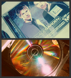 Отдается в дар «Диск группы Savage Garden»