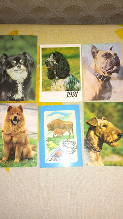 Отдается в дар «Календарики с животными 1987-1992 в коллекцию»