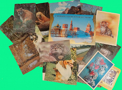Отдается в дар «Советские открытки с животными»