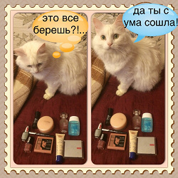 Отдается в дар «Косметический кот в мешке!»