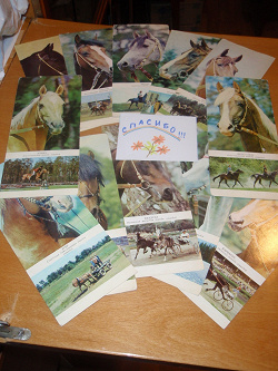 Отдается в дар «Лошадки (открытки)»