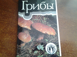 Отдается в дар «3 набора открыток грибы»