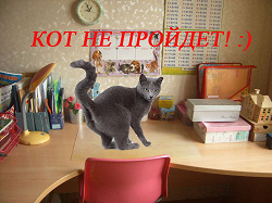 Отдается в дар «для кошек и собак»