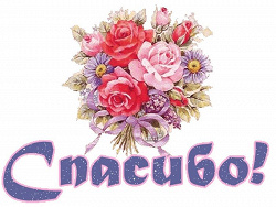 Отдается в дар «сансиеверия»