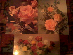 Отдается в дар «Розы на открытках»