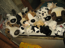 Отдается в дар «собачки the dog collection»