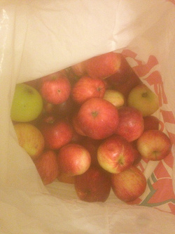 Отдается в дар «Много килограмм яблок!»