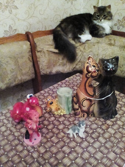 Отдается в дар «Сувенирный котик — Сувениры, фигурки, посудное…»