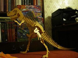 Отдается в дар «Скелет динозавра»