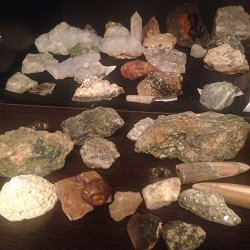 Отдается в дар «Камни и окаменелости»