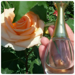Отдается в дар «J'Adore Eau De Parfum Spray Кристиан Диор Ж`Адор Парфюмированная Вода»