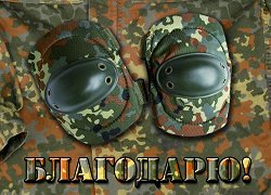 Отдается в дар «Налокотники NATO ( НАТО ) камуфляжные (3702003)»