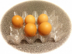 Отдается в дар «лотки для яиц»