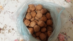 Отдается в дар «Пакет орешков»
