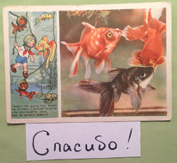 Отдается в дар «Почтовая открытка СССР»