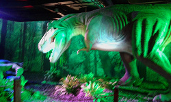 Отдается в дар «Детский билет на выставку динозавров»