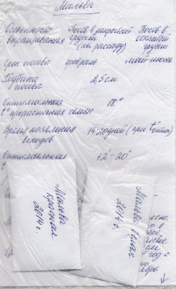 Отдается в дар «Семена мальвы»