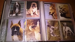 Отдается в дар «Календарики с собаками, СССР»