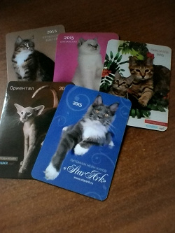 Отдается в дар «Календарики с Кошками 2»
