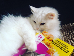 Отдается в дар «Корм для кошек Вискас, фитовитамины»