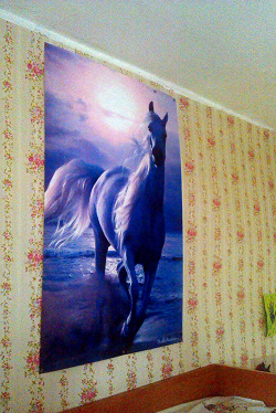Отдается в дар «Плакат с лошадью»