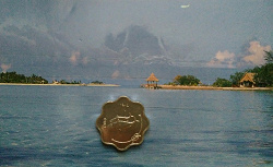 Отдается в дар «Монета Мальдивы»