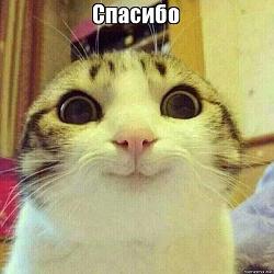 Отдается в дар «Бюстгальтер пуш-ап новый (LINDEX)»