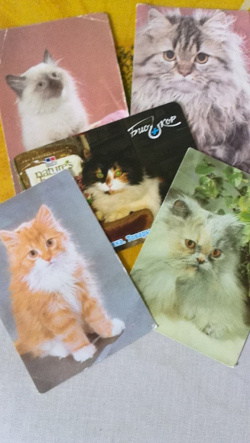 Отдается в дар «Календарики с кошками.»