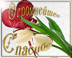 Отдается в дар «Зимняя детская одежда 2-4 года на мальчика»