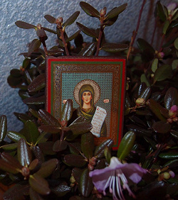 Отдается в дар «Икона св.Дарьи»