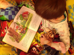 Отдается в дар «книга»