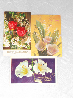 Отдается в дар «3 открытки СССР. Цветы»