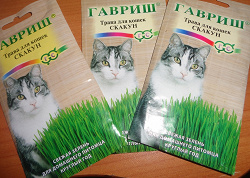 Отдается в дар «Семена травы для кошек " Скакун"»