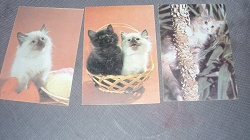 Отдается в дар «Календарики с кошками СССР»