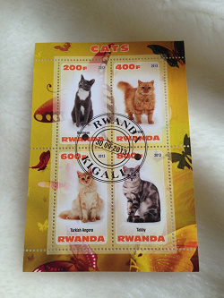 Отдается в дар «П.б. Кошки (Руанда)»