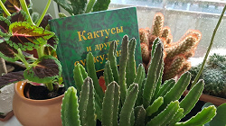 Отдается в дар «книга по разведению кактусов»