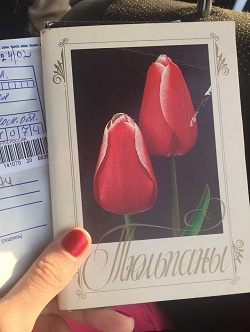 Отдается в дар «Набор открыток тюльпаны»