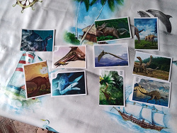 Отдается в дар «Карточки «Смотри, динозавры!»»