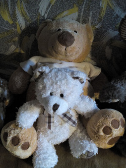 Отдается в дар «Мягкие игрушки — медведи»