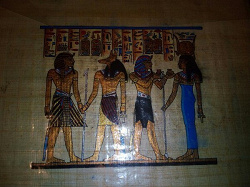 Отдается в дар «папирус»