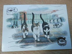 Отдается в дар «Открытка из котокафе»
