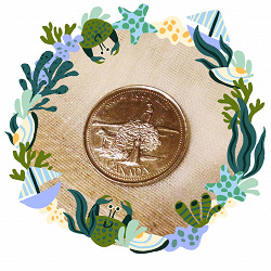 Отдается в дар «монета 25 центов, Канада, 1999»