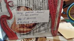 Отдается в дар «Любовные романы»
