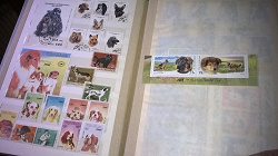 Отдается в дар «В коллекцию — 2 почтовые марки»