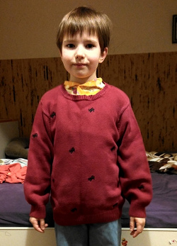 Отдается в дар «Пуловер хлопковый на 5 лет»