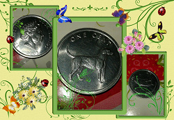 Отдается в дар «Монета 1 цент 2003 Острова Кука. Собака»