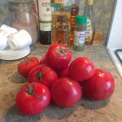 Отдается в дар «5 кг помидорок»